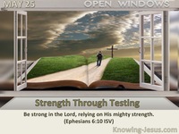 Strength Through Testing